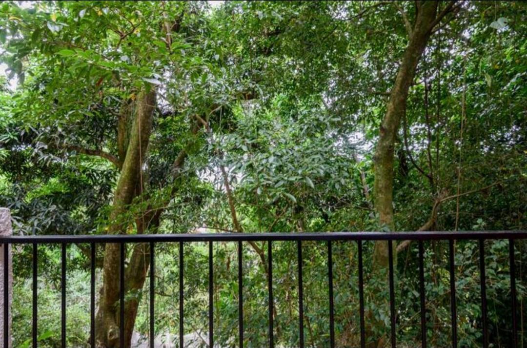 Santa Teresa Junto A Natureza Acomodação com café da manhã 